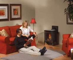 Napoleon GDS20E Arlington Electronic Ignition Direct Vent Cast Iron Stove -GrillMaster Pro arlington ls