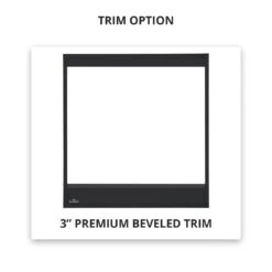 Napoleon B46NTR Ascent Series Millivolt Ignition Direct Vent Gas Fireplace -GrillMaster Pro b46 safety barrier 12 19