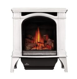 Napoleon GDS25-1 Bayfield Direct Vent Cast Iron Gas Stove