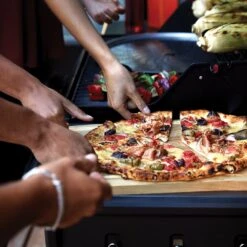 Napoleon F425DSBPGT-ECP Freestyle 425 Gas Grill On Cart With Side Range Burner, Propane -GrillMaster Pro f425dsbpgt ecp g 05 22