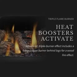 Napoleon GDS28-1NSB Haliburton Millivolt Ignition Direct Vent Gas Stove -GrillMaster Pro gds50 1nsb ls e 01 22 2