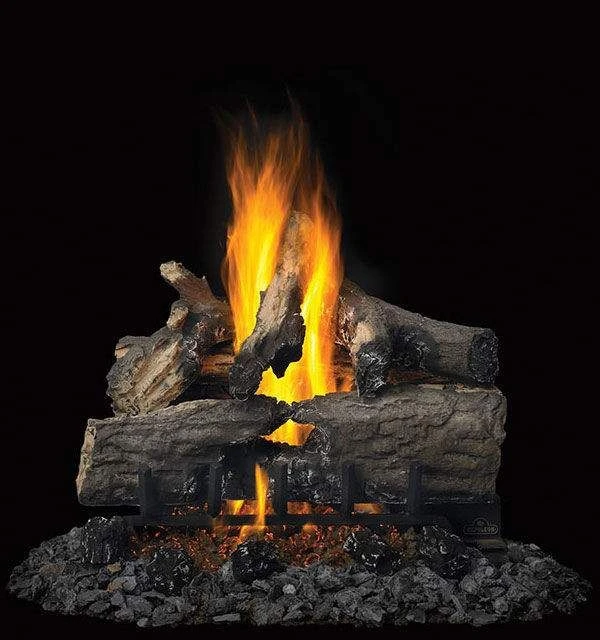 Napoleon GL22 Reversible Vented Gas Log Set, 22-Inch 3 Napoleon GL22 Reversible Vented Gas Log Set, 22-Inch - Image 3