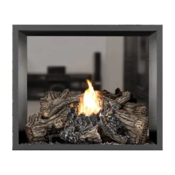 Napoleon HD81-1 High Definition Series Double Sided Electronic Ignition Direct Vent Gas Fireplace