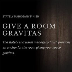 Napoleon NEFP30-3620RLB Hayworth Electric Fireplace TV Stand With 30-Inch Cineview Firebox -GrillMaster Pro nefp30 3620rlb feat b 02 22