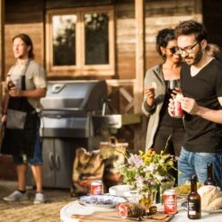 Napoleon PRO605CSS Professional Charcoal Grill On Cart -GrillMaster Pro pro605css ls b 06 20