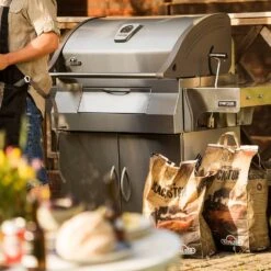 Napoleon PRO605CSS Professional Charcoal Grill On Cart -GrillMaster Pro pro605css ls c 06 20