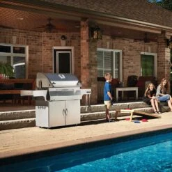 Napoleon PRO605CSS Professional Charcoal Grill On Cart -GrillMaster Pro pro605css ls k 06 20