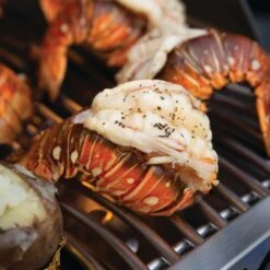 Napoleon PRO825RSBISS-3 Prestige PRO 825 Series Gas Grill On Cart With Rotisserie And Side Burner, 45-Inches -GrillMaster Pro pro665 3 ls d 07 20