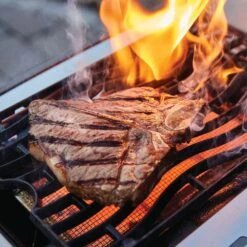 Napoleon RSE425RSIBSS Rogue SE 425 Gas Grill On Cart With Infrared Side And Rear Burners, 23.75-Inches -GrillMaster Pro rse625rsibpss ls c 07 20 1