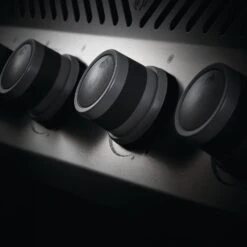 Napoleon RXT525SIBSS Rogue XT 525 Gas Grill On Cart With Infrared Side Burner, 28.75-Inches -GrillMaster Pro rxt ss feature 3 01 20 1