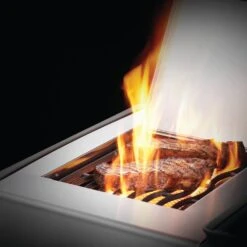 Napoleon RXT525SIBSS Rogue XT 525 Gas Grill On Cart With Infrared Side Burner, 28.75-Inches -GrillMaster Pro rxt ss feature 6 01 20