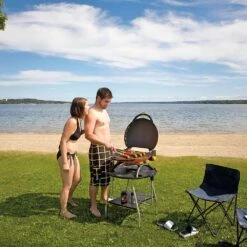 Napoleon TQ2225PO-STAND TravelQ Portable Gas Tabletop Grill With Base, Propane -GrillMaster Pro tq2225 stand d 08 21