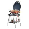 Napoleon TQ2225PO-STAND TravelQ Portable Gas Tabletop Grill With Base, Propane