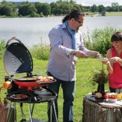 Napoleon TQ2225PO-STAND TravelQ Portable Gas Tabletop Grill With Base, Propane -GrillMaster Pro tq2225po tq2225 stand ls a 08 21