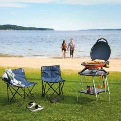 Napoleon TQ2225PO-STAND TravelQ Portable Gas Tabletop Grill With Base, Propane -GrillMaster Pro tq2225po tq2225 stand ls b 08 21